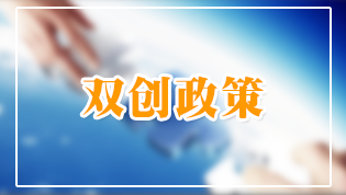 ˫������